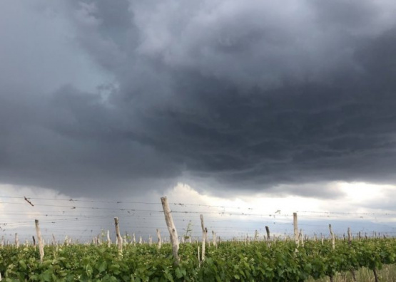 El Gobierno decretó Estado de Emergencia o Desastre Agropecuario