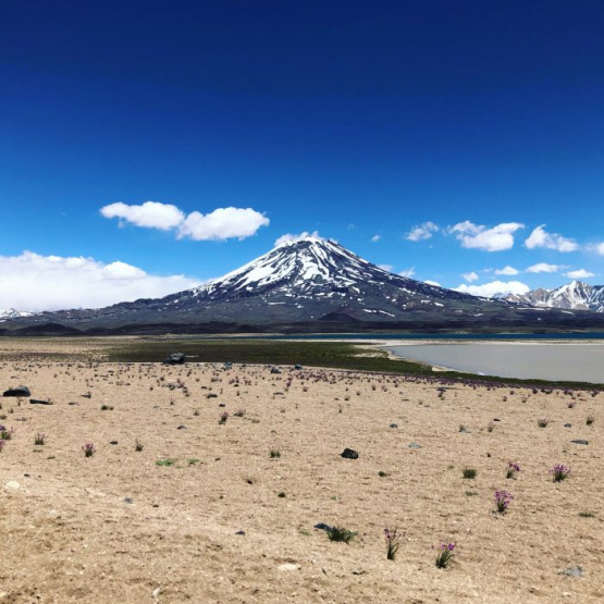 Laguna del Diamante: ecoturismo low cost y accesible en un imperdible de Mendoza