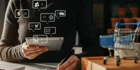 Transformación digital: 75% de las pymes de Mendoza no cuenta con portal web