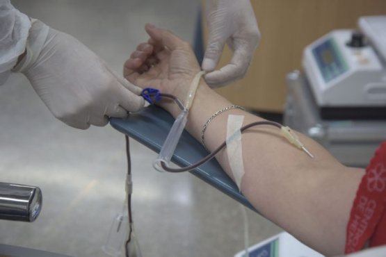 El 14 de junio es el Día Mundial del Donante de Sangre