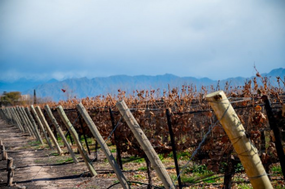 Mendoza, entre los mejores destinos argentinos para visitar en los fines de semana de junio